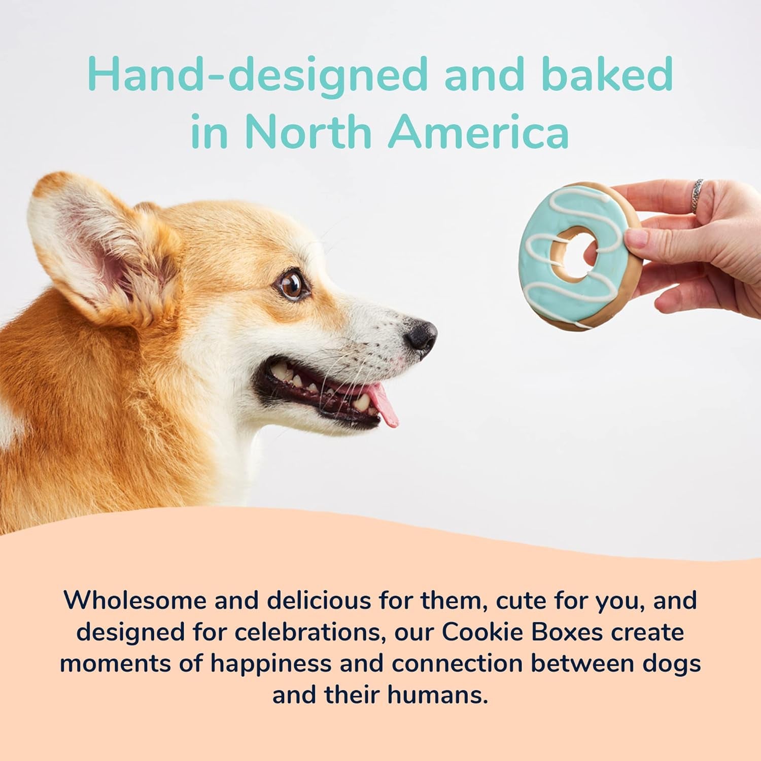 Dog Cookie Box | Handmade Hand-Decorated Dog Treats | Dog Gift Box Made with Locally Sourced Ingredients (Doggie Donut)