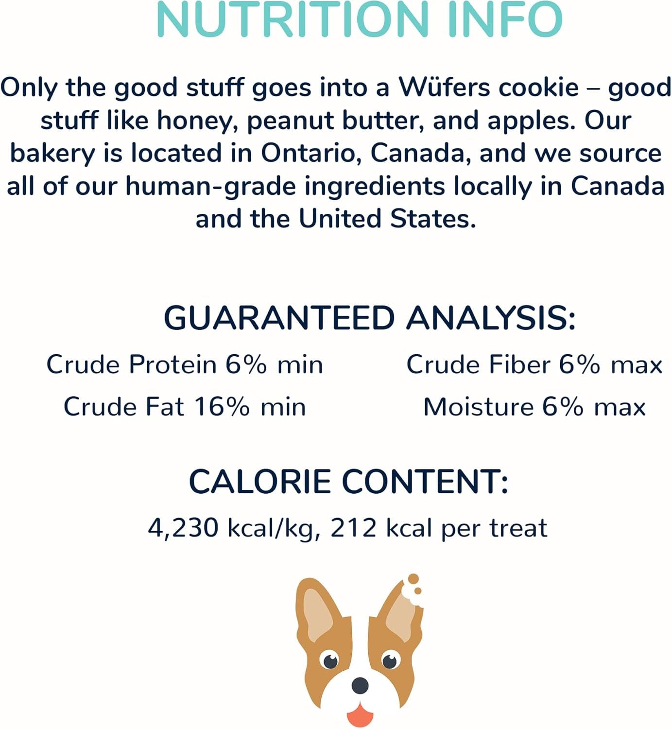 Dog Cookie Box | Handmade Hand-Decorated Dog Treats | Dog Gift Box Made with Locally Sourced Ingredients (Doggie Donut)