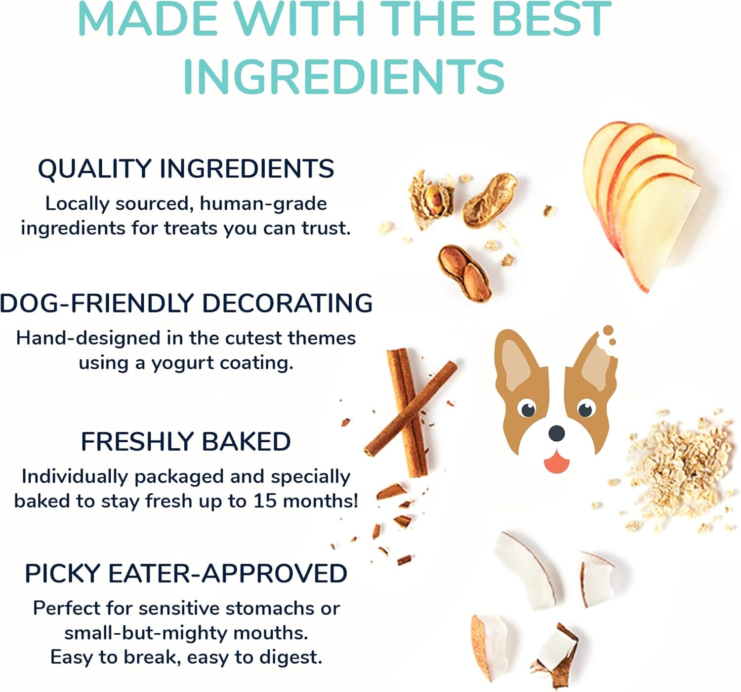 Dog Cookie Box | Handmade Hand-Decorated Dog Treats | Dog Gift Box Made with Locally Sourced Ingredients (Doggie Donut)