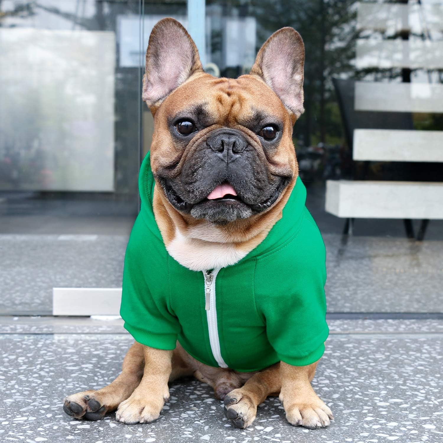 French Bulldog Frenchie Clothes Hoodies for Dogs Pug English Boston Terrier Bully Pitbull Corgi Sweatshirt Sweater Clothing - Green/Large Plus