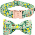 Premium Floral Dog Collars, Bowtie Dog Collar, Adjustable Heavy Duty Girl Dog Collar with Bow for Medium Dogs
