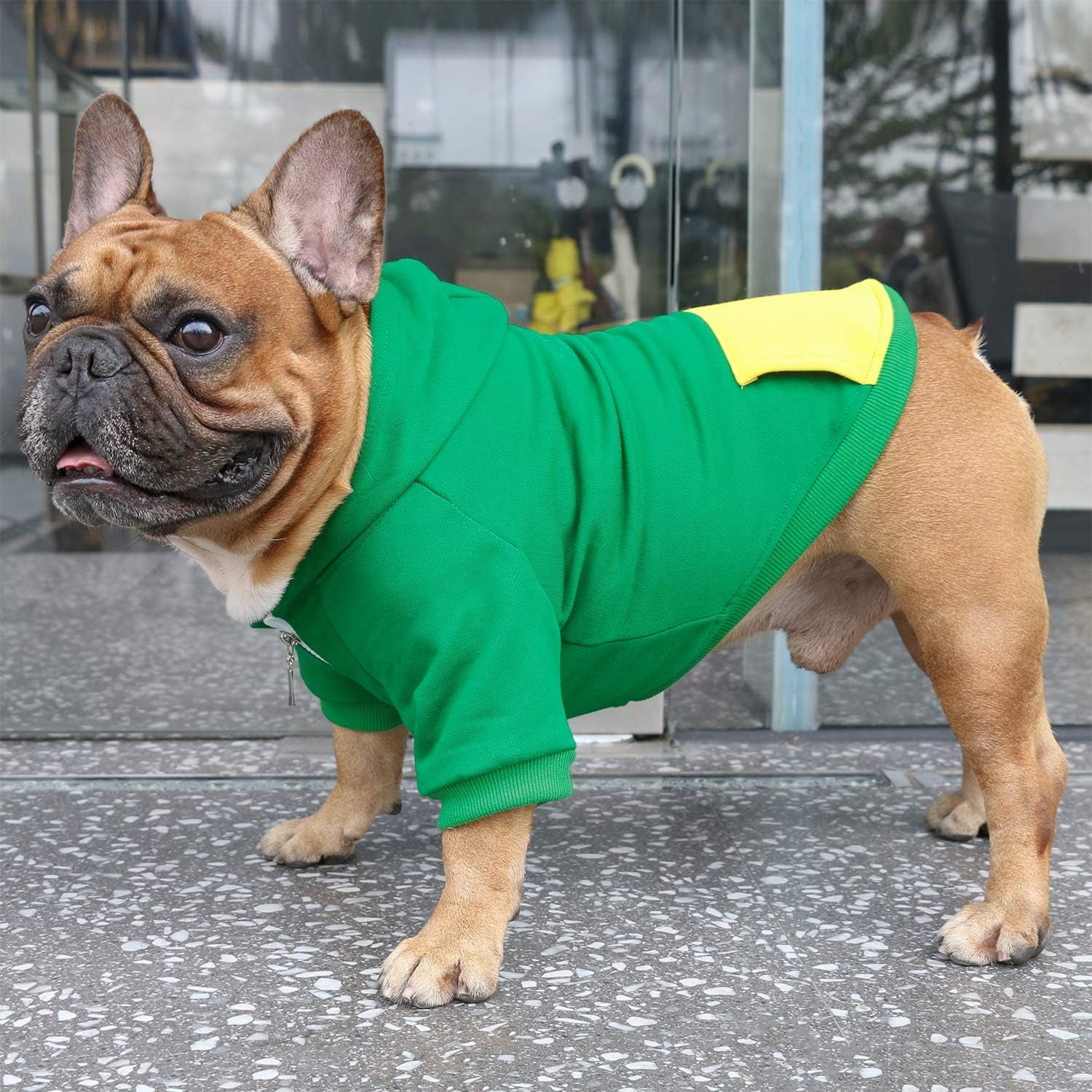 French Bulldog Frenchie Clothes Hoodies for Dogs Pug English Boston Terrier Bully Pitbull Corgi Sweatshirt Sweater Clothing - Green/Large Plus
