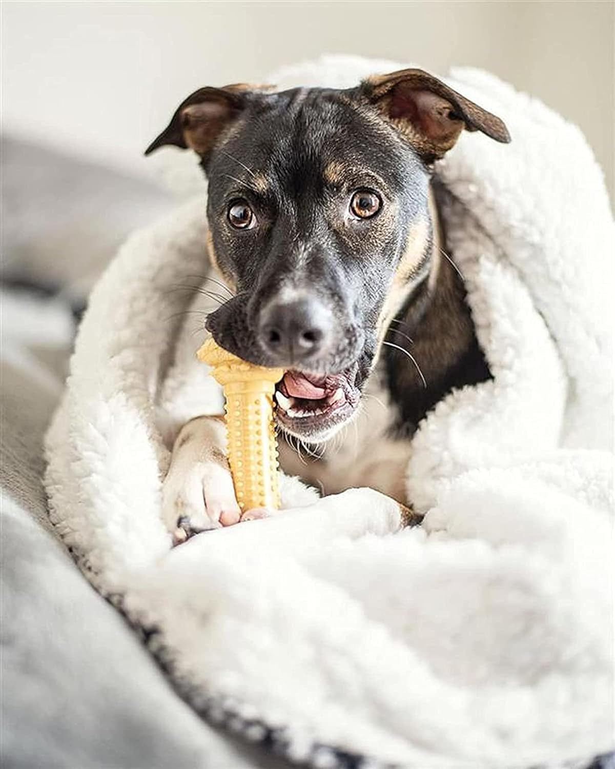 Power Chew Classic Bone Chew Toy for Dogs, Durable Dog Toys for Aggressive Chewers, Chicken Flavor, Large/Giant - up to 50 Lbs. (3 Count)